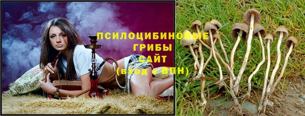 прущие крисы Касимов
