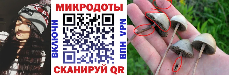 Псилоцибиновые грибы GOLDEN TEACHER  Купить где  Сольвычегодск 