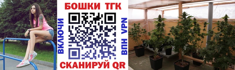 Купить закладки  Сольвычегодск  Бошки марихуана Bruce Banner 